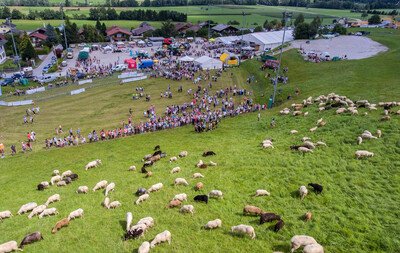 Eleventh Styrian Alpine Lamb Festival on 29th July 2018