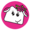 asset_image