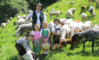 Almlammprojekt geht diesen Sommer in die 11. Saison