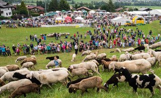 Festtagsstimmung beim 12. Steirischen Almlammfest