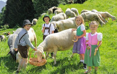 13. Steirisches Almlammfest am Sonntag, 31. Juli 2022