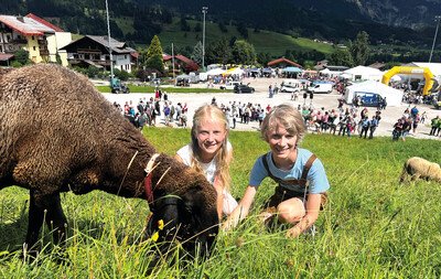 14. Steirisches Almlammfest am Sonntag, 30. Juli 2023