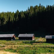 2025_wandern_viehberg_022cmathaeus_gartner_27082025-27.jpg