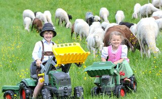 10 Jahre Almlammprojekt am Hauser Kaibling