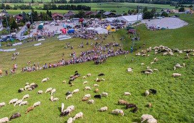 12. Steirisches Almlammfest am 28. Juli 2019