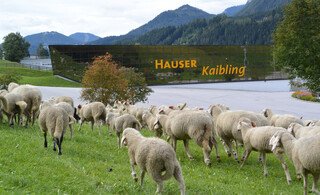 Leaderprojekt