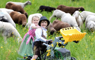 Léto - ovčí zážitky  na Hauser Kaiblingu